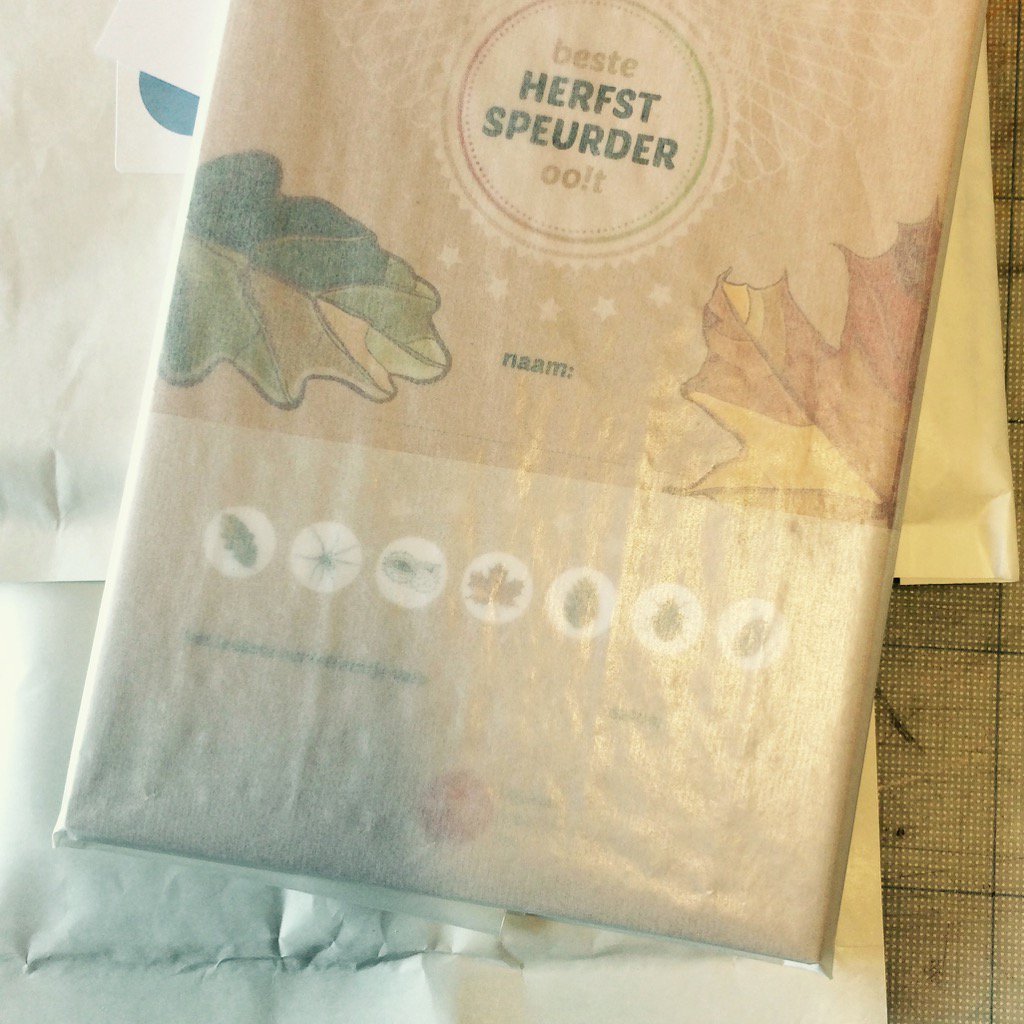 Postpakketjes x veel...heel veel! Check snel leukstefeestjeooit.nl/leukste-herfst… Nu zonder verzendkosten! #herfst #speurtocht