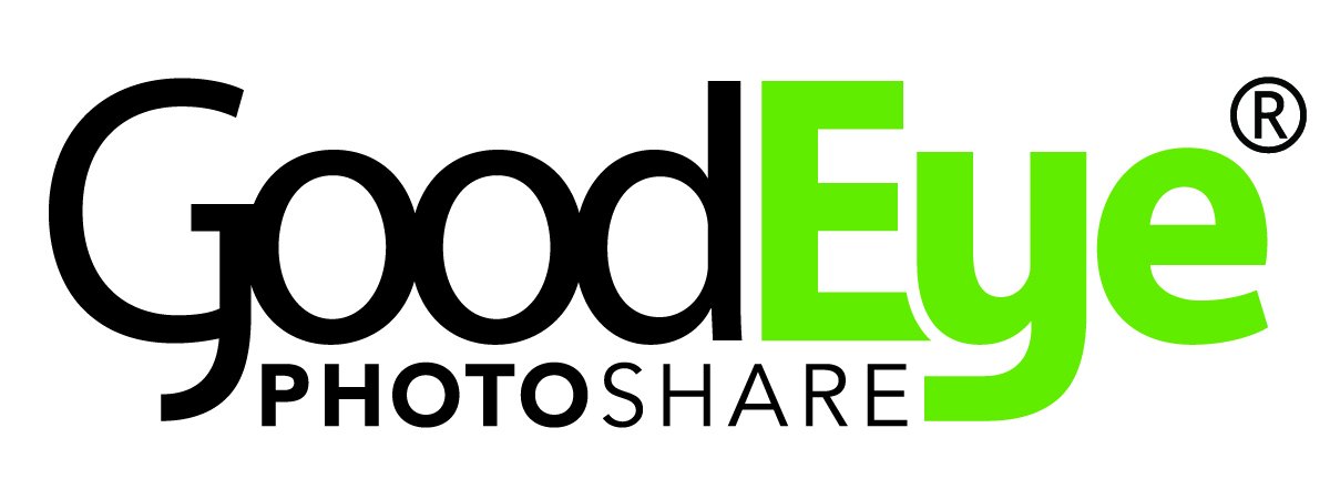 OffTheWallGS's tweet photo. We've been busy upgrading our services in the #STL area!

Read about the new GoodEye here: https://t.co/qk8TBchGQ9 https://t.co/l51CbYtxSU