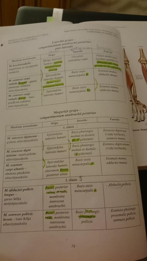 Guttinsh's tweet photo. Un tā paies šī skaistā nedēļa. Ar anatomiju. Ooo, jāā.. https://t.co/rBjiaYhX2b
