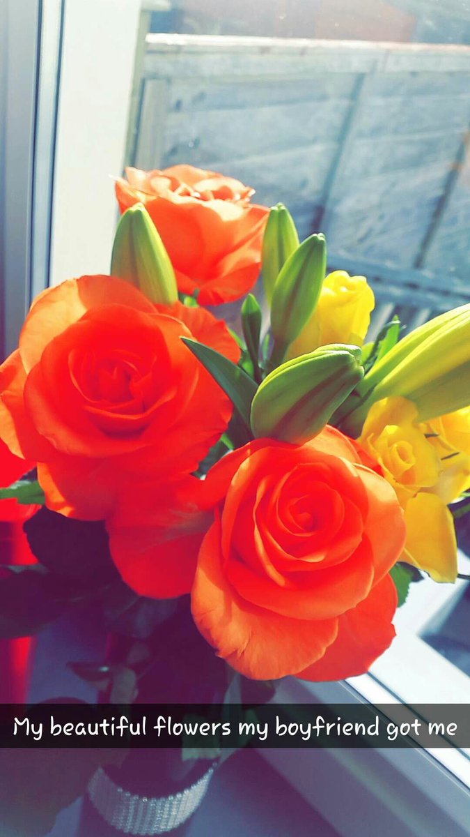 KimblesBaby's tweet photo. My #beautiful #flowers my #boyfriend got me :) https://t.co/88NqGEMVWa