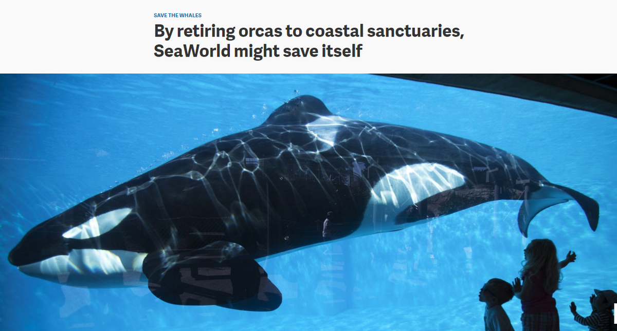 OrcaSOS's tweet photo. By retiring orcas to coastal sanctuaries, #SeaWorld might save itself https://t.co/9rpV7chiT2

#Blackfish #EndCAP https://t.co/v1MOU9BwXK