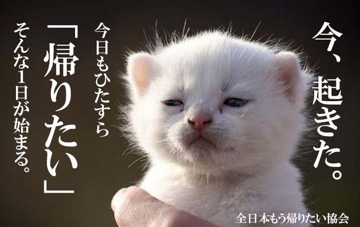 mou_kaeru's tweet photo. 今、起きた。 https://t.co/1EzmJccOXe