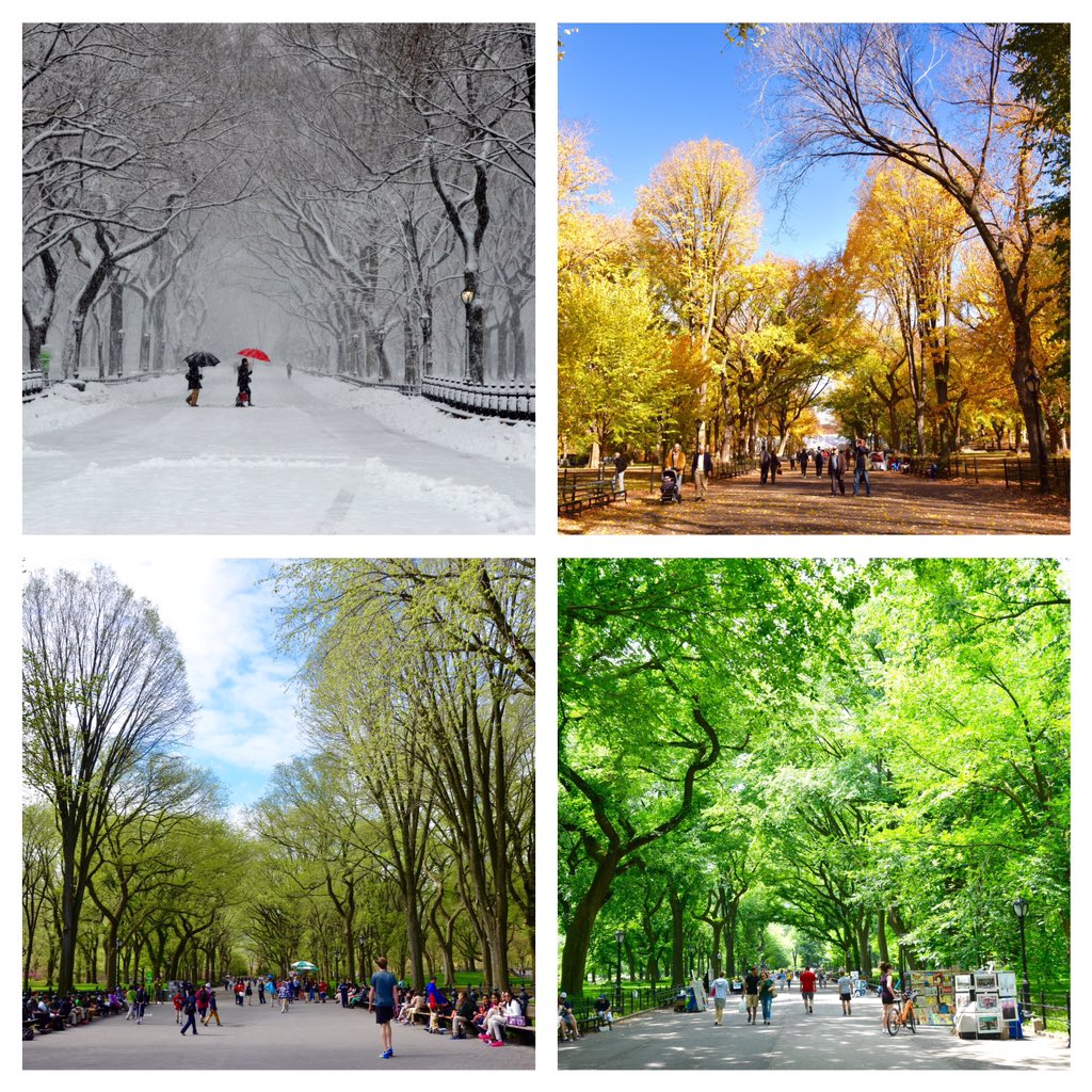 Central Park on Twitter: 