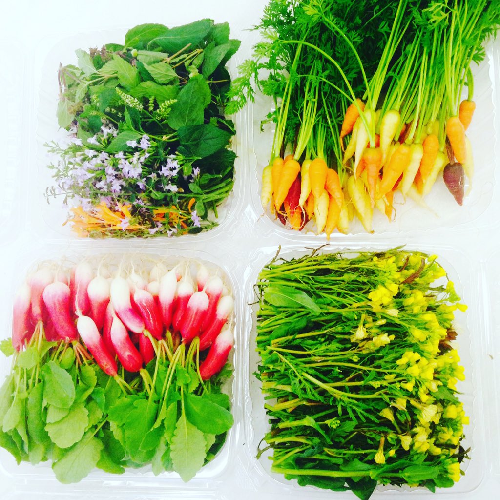 thyme4rosemary1's tweet photo. https://t.co/wRwFFwlQcV
