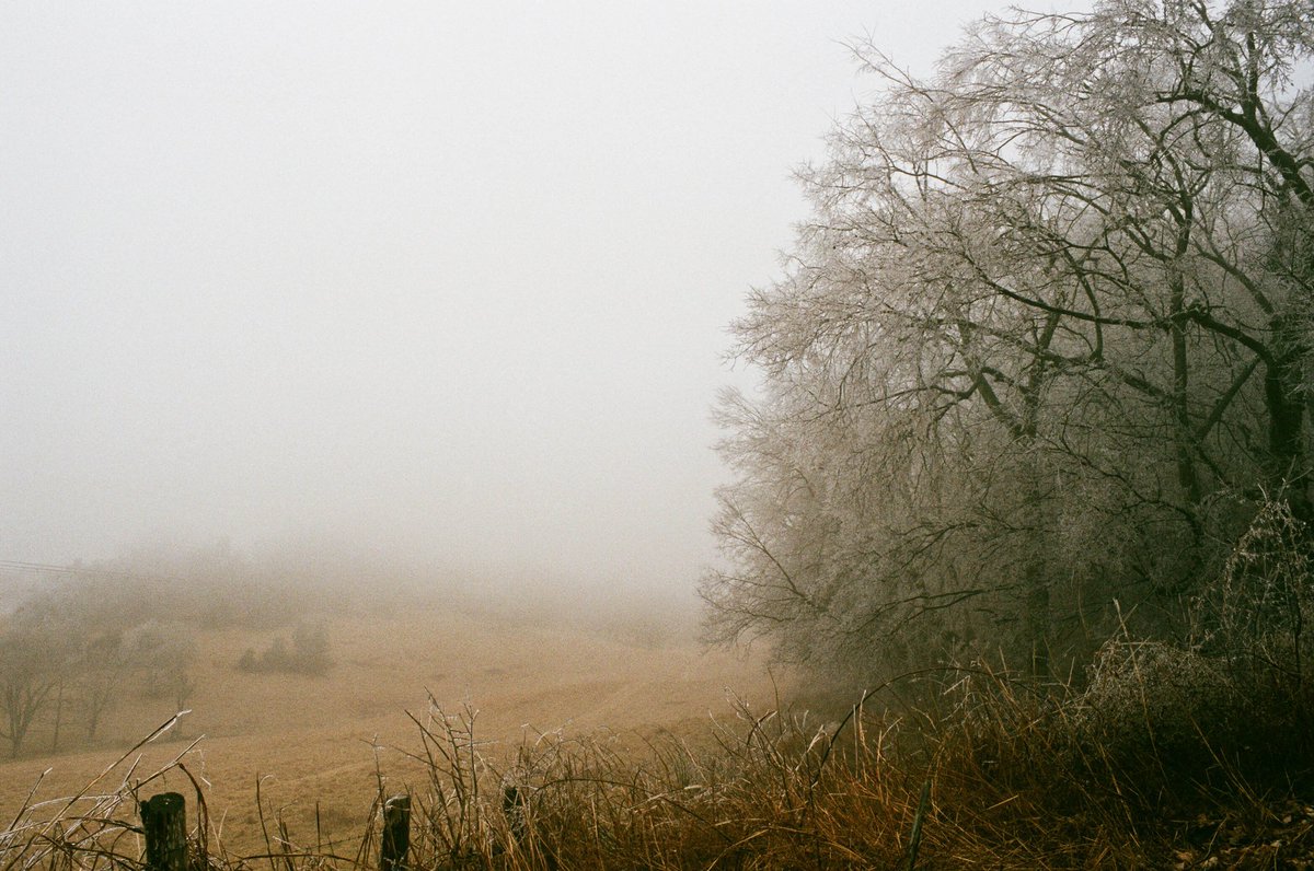 shutteringthru's tweet photo. Cold Morning #BelieveInFilm #HeyFSC #FujiSuperia400 #OM1 #FilmIsNotDead #Winter #FilmPhotography #FilmBoxLab #Icy https://t.co/CDflwfRqnK
