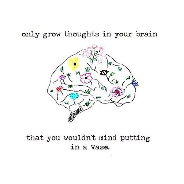 melfish4's tweet photo. 💭 https://t.co/7UfGPANDh1