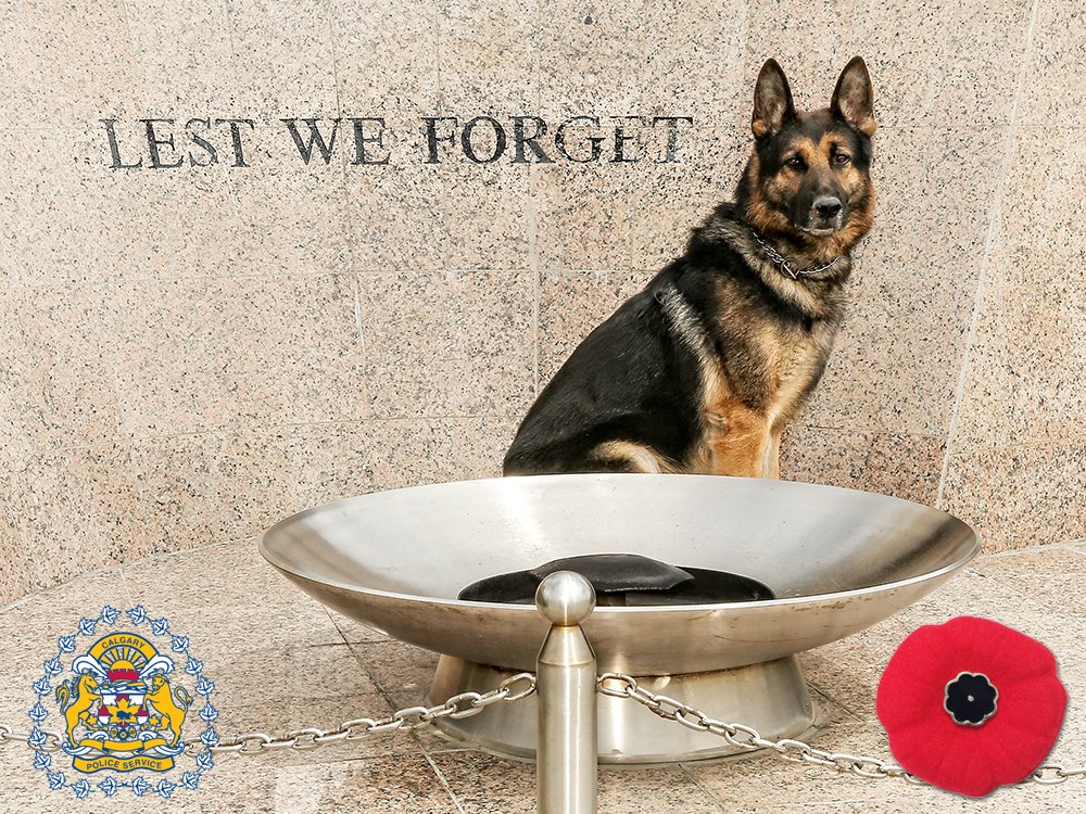 CalgaryPolice's tweet photo. Please take some time today to remember &amp; reflect on those who fought for our freedom. #RememberThem https://t.co/7OMFcHcJNY