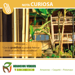 Photo by BiocomercioAmazónico (@BiocomercioAMZ)