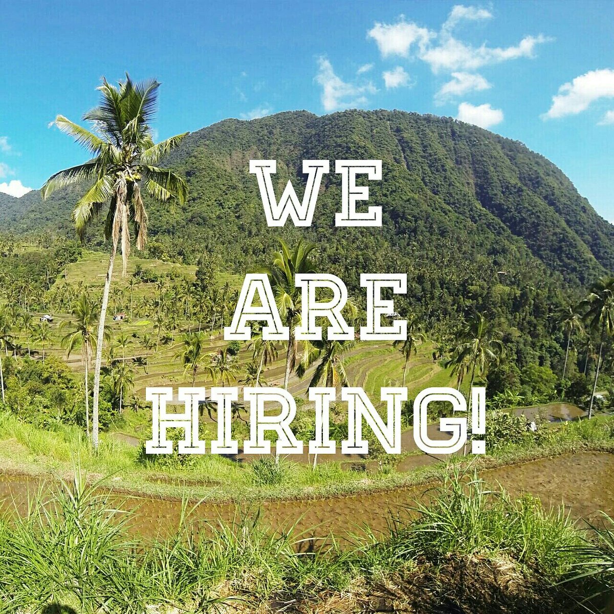 Travel Host wanted! Send your most compelling application letter and CV to newbali.info@gmail.com 

#jobfair #bali