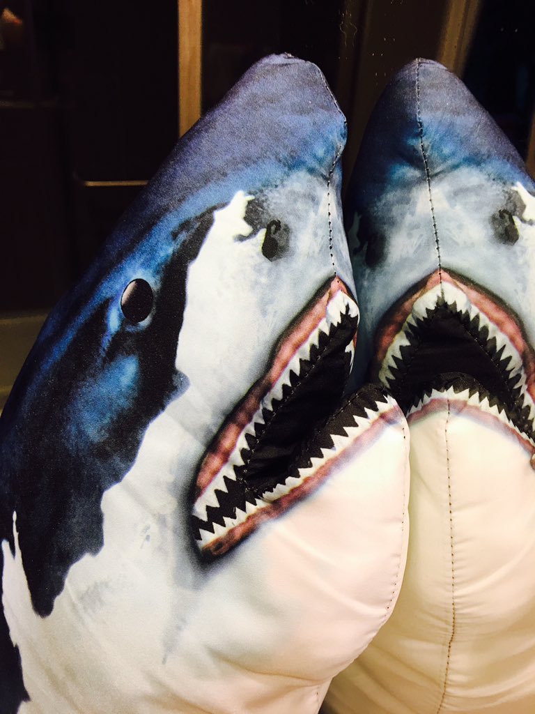 Sharknapped's tweet photo. My 1st selfie! Did you know selfie accidents kill more people than sharks? https://t.co/CmtPcNaqx7 #findsharky https://t.co/03yghbhmEa
