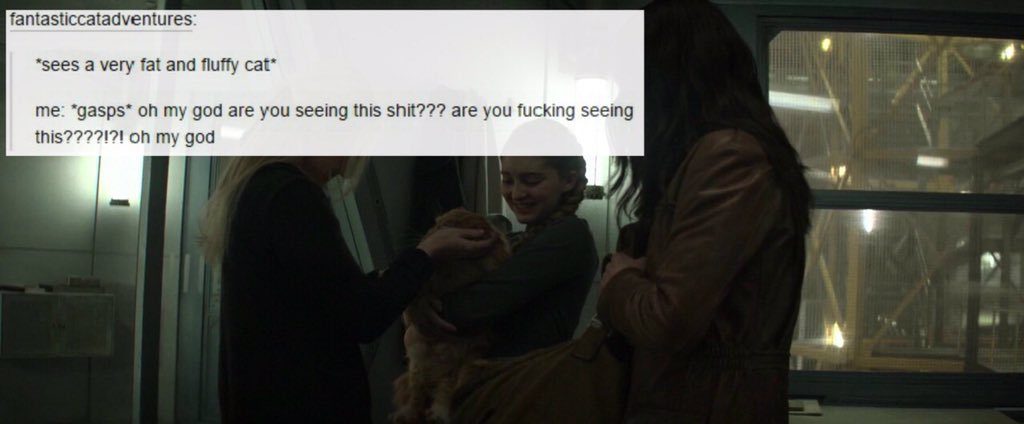 thgtextposts tweet picture