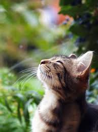 FundSponge's tweet image. #BlackFriday and the new features you've been asking for? #November is a great for #FundSponge users!