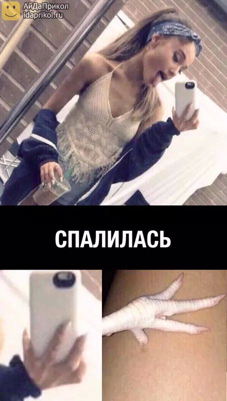 пляжах айда приколы смотреть картинки счастью, существует