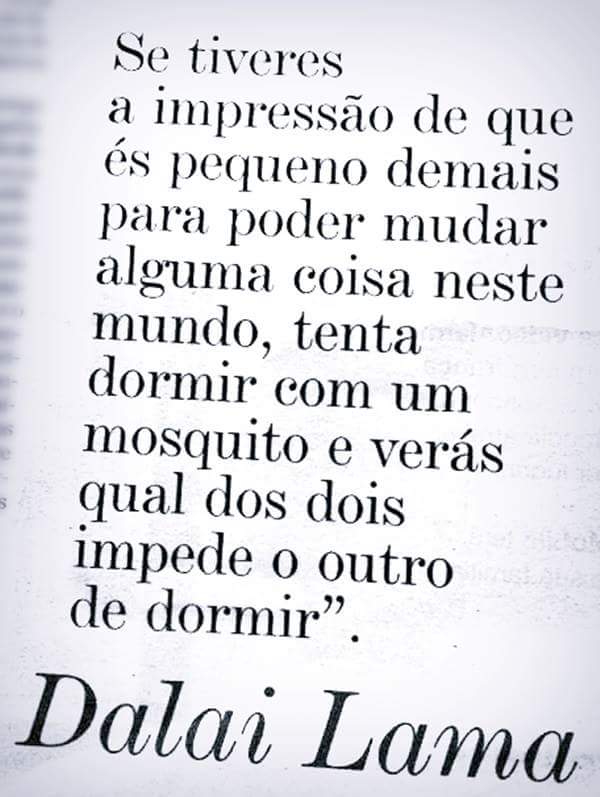 geisyanepaixao's tweet photo. 144 #Timbelalab https://t.co/Q7GstlWSot
