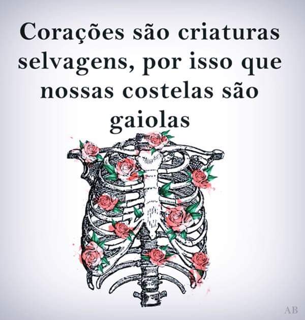 geisyanepaixao's tweet photo. 149 #Timbelalab https://t.co/EXgaL2hg4n