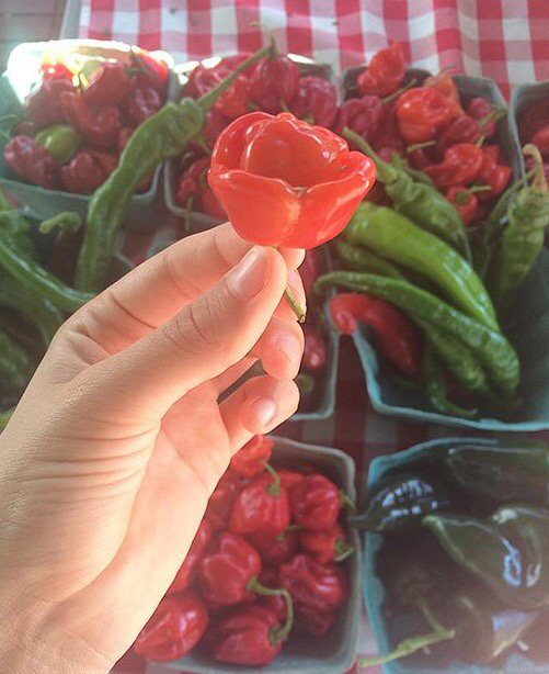 Ugly Fruit and Veg tweet media