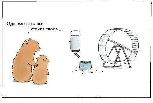 TagCNo's tweet image. 