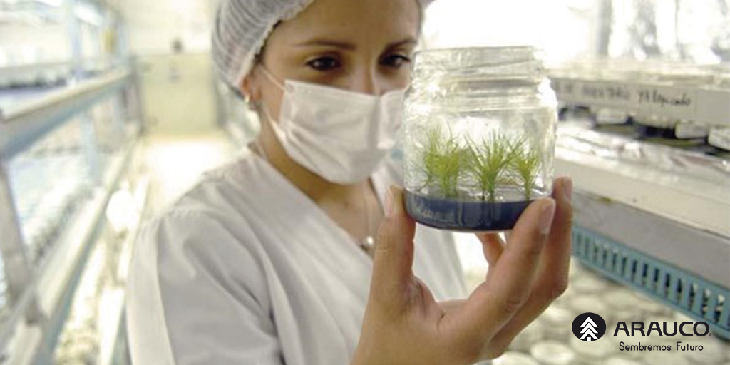 LODESTARONBASE's tweet photo. #Bioforest, centro de investigación científico-tecnológico de excelencia, es único en su tipo en #Sudamérica https://t.co/QNNXTTt1tP