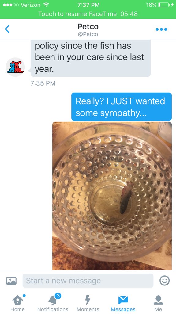 JonnyCandle's tweet photo. #BOYCOTTPETCO#FREEKESHANOW #FISHPLEASE? #INJUSTICE #SAVETHEFISH #FindingDory @TheEllenShow #GOPDebate #DONATE2DAY https://t.co/rlFqBrEmH3
