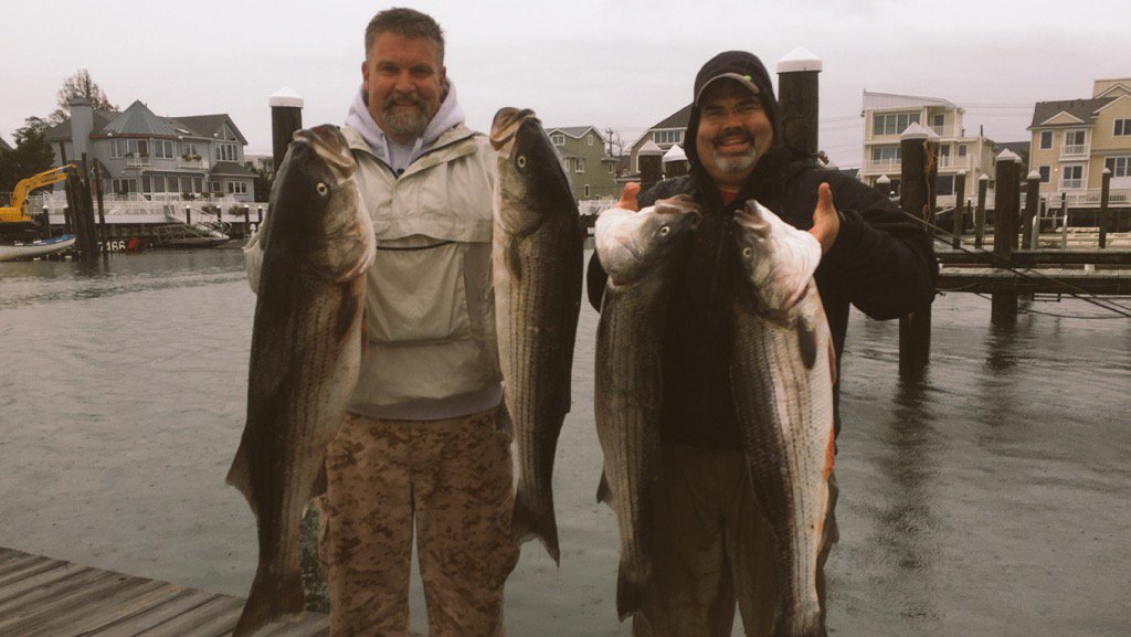 Big bassin' on the Jersey shore!
bit.ly/1PeZ1WW #BassFishing #stripahs  <a href="/BassFishnTips/">Bass Fishing Tips</a>