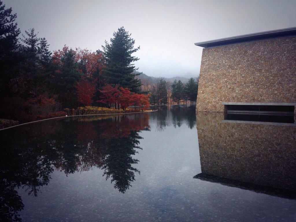 silverfruits's tweet photo. 가을이 조용히 쏟아지는 곳.
원주 뮤지엄산. https://t.co/SXoTcFU9dz