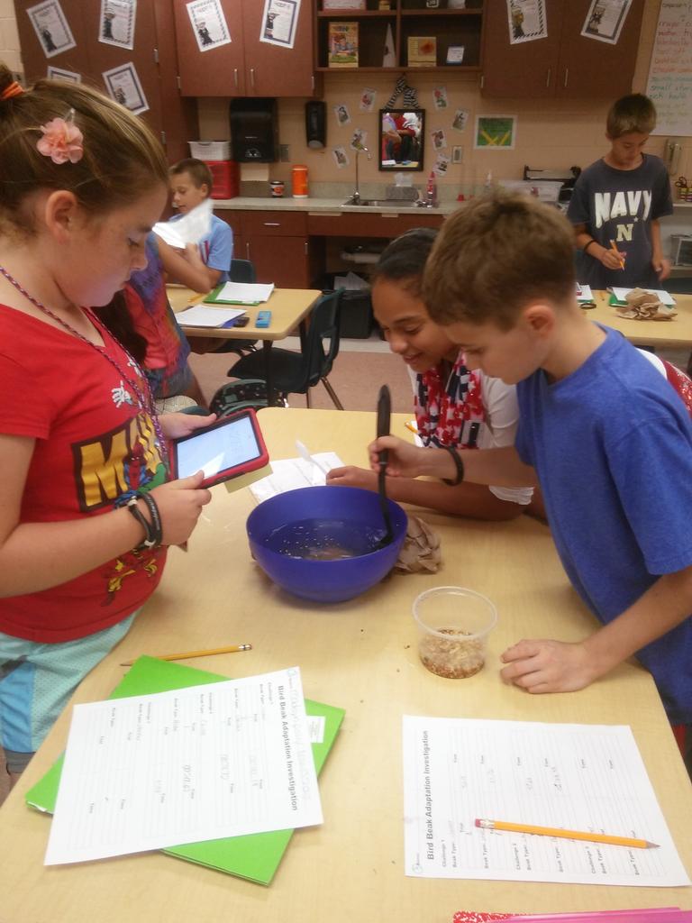 GoldenReadsLGE's tweet photo. Animal adaptations...which bird has the best adaptation? @ccpsSTEM @VMEPatriots https://t.co/8Rmvlm606b