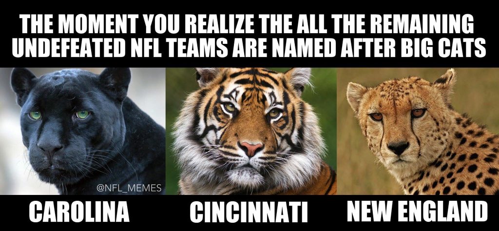 NFLMemes's tweet image. "More probable than not"