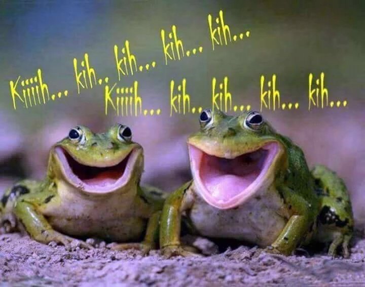 *Opa Ebod* tweet media