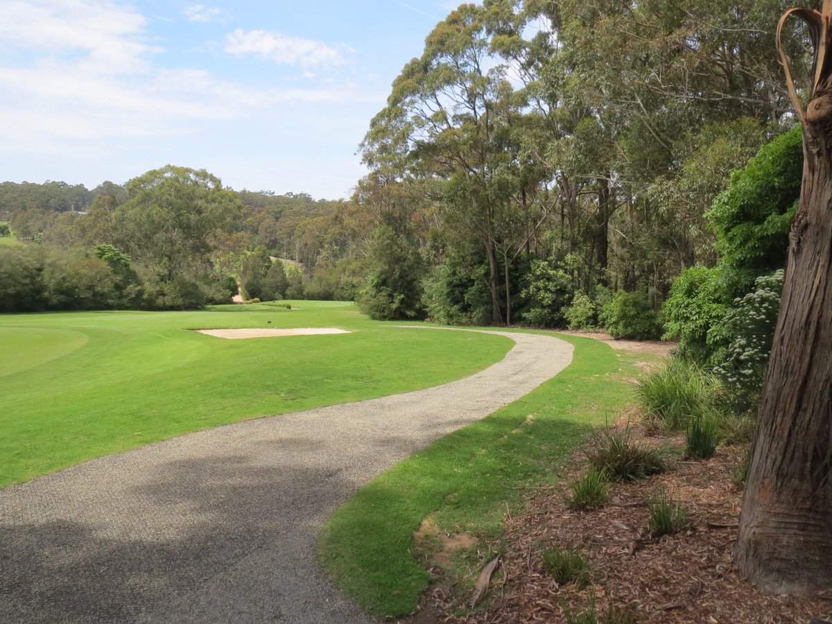 Diamond_Grid's tweet photo. @Diamond_Grid installed at Pambula Merimbula Golf Club on the Golf Cart Tracks #diamondgrid #toughenyourterrain https://t.co/qzFHSM23Vg