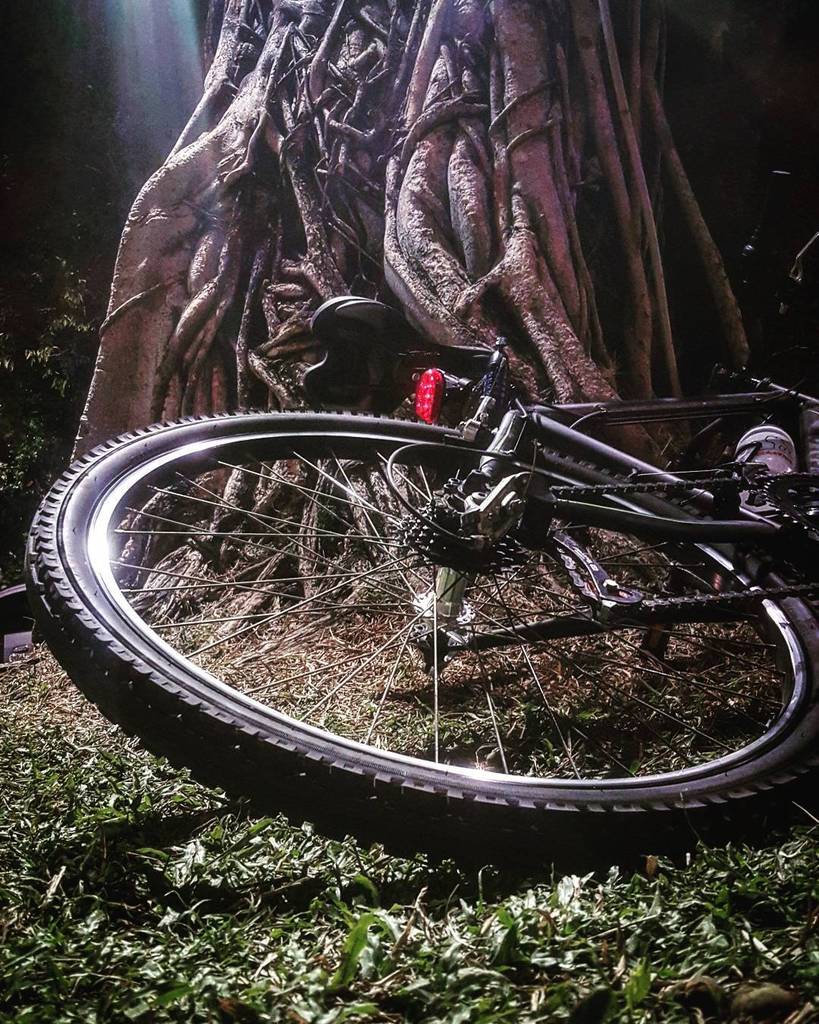 InstaBicycle's tweet photo. Via @criskvra: #bicicleta #bicicle #bicycle #bike #magrela #caloi #pedal #pedalada #jaquei… https://t.co/XLb3z7sXxo https://t.co/RMeEI1oHVC