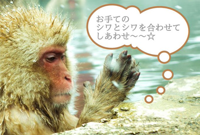 賀状のtwitterイラスト検索結果 古い順 賀状のtwitterイラスト検索結果 古い順