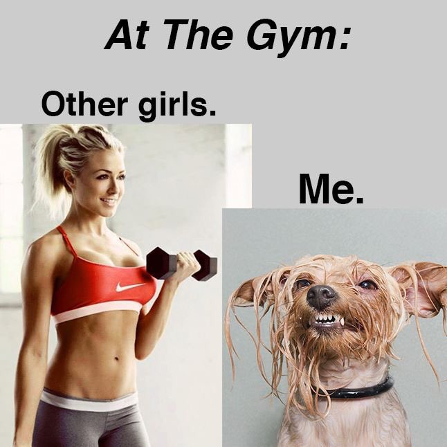 Hahaha <a href="/Ten_Elliott/">Ten</a> 🏋🏼🚴🏻🚵🏻💪🏻