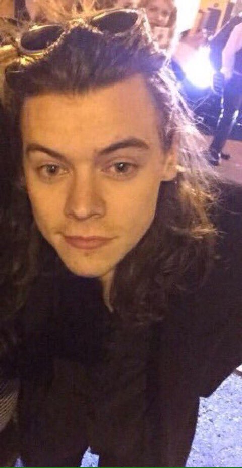 harry archived tweet media