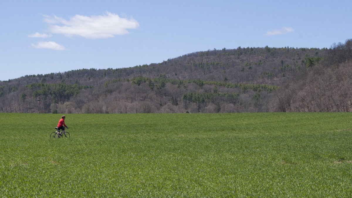 Wear Wellness is launching soon! Our goal is to help plan, implement and evaluate workplace #wellness initiative.