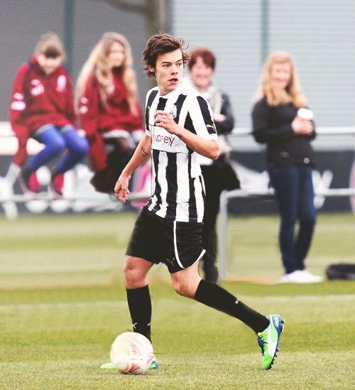 harry archived tweet media