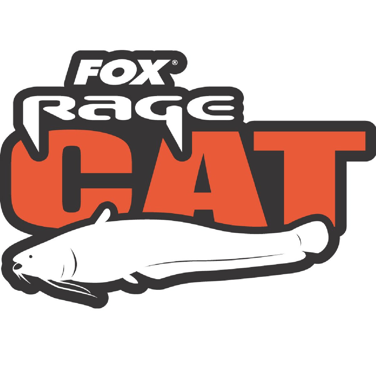 MillViewTackle's tweet photo. **NEW** @FoxInt Rage Cat Gear **NOW IN STOCK** &amp; available in Our Ebay Store: https://t.co/nKnAQ7BewX … https://t.co/6qnPo60PjK
