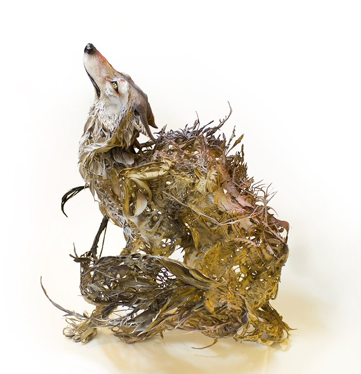 hungry enough to devour the world - coywolf sculpt by creaturesfromel dlvr.it/CjPwVy
