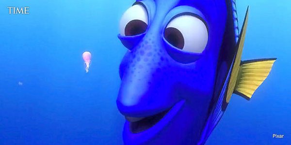 Watch Dory go on a mission in the first trailer for 'Finding Dory' ti.me/1O2MzYz