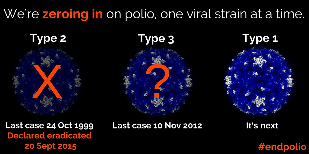Polio is a species on the verge of extinction. Read why: endpol.io/1O2sZLR #endpolio
