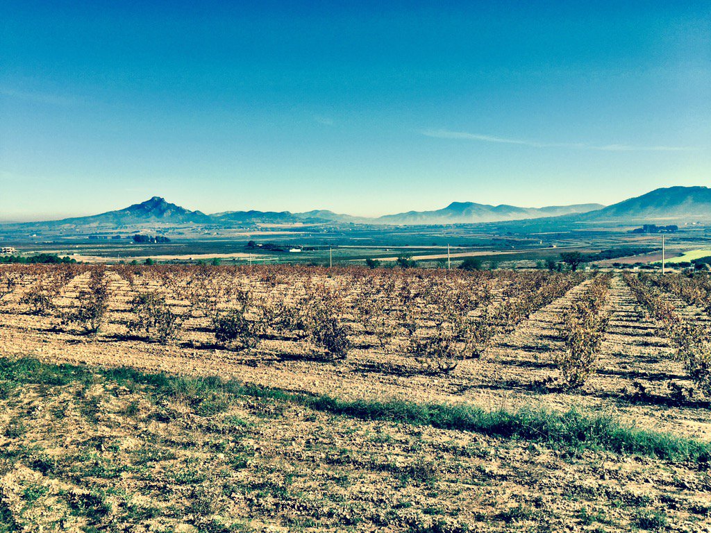 vino_freakism's tweet photo. An awesome day yesterday meeting the people and trying the wines of #monastrellalicante https://t.co/mLCCi1980a