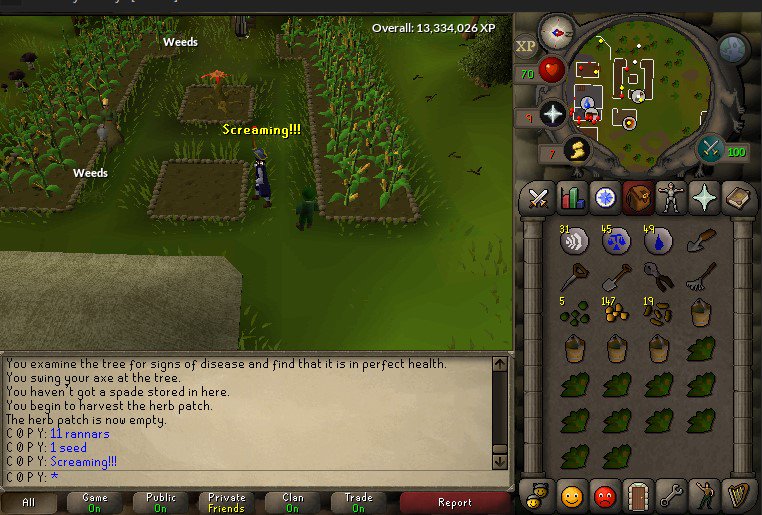 FossyOSRS's tweet photo. When you get 11 ranarrs from 1 seed. #JustFarmingThings https://t.co/w4dTegxWQG