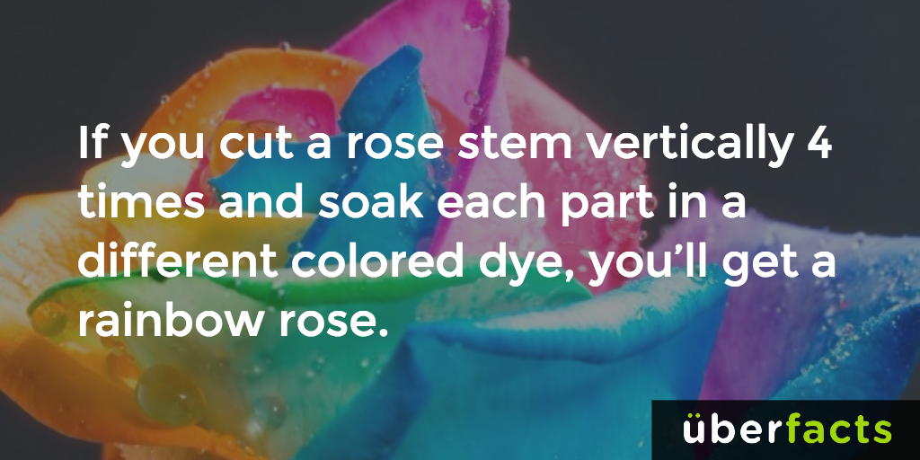 Cool!