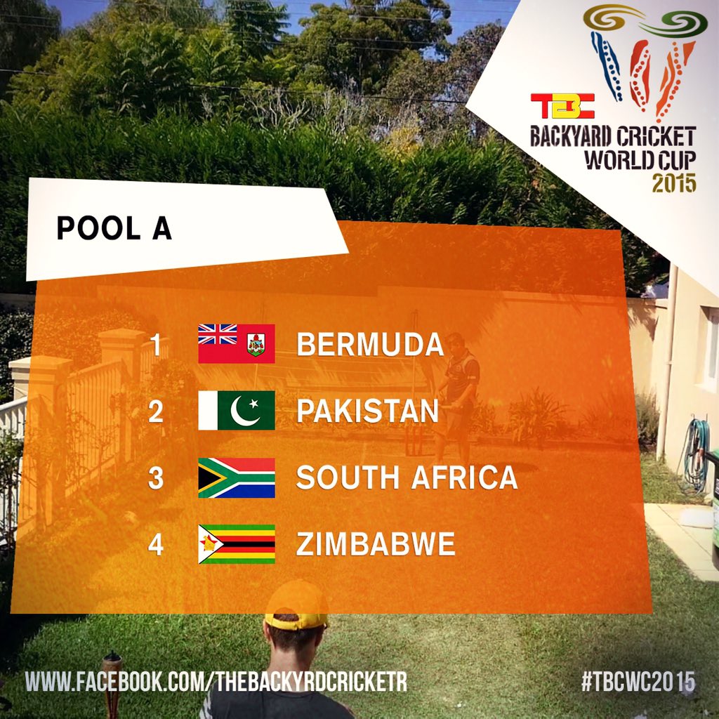 TheBackyardCricketer tweet media