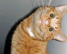 DaneDecat's tweet photo. #LoveoTodo https://t.co/8AWHCDmAiR