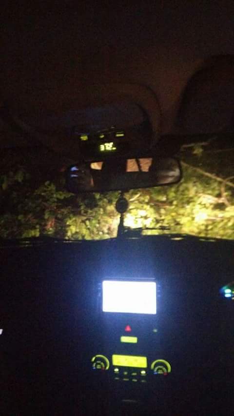 View image on Twitter