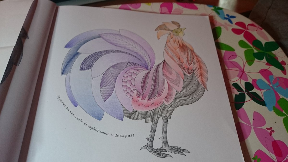 annahawk81's tweet image. #animauxfantastiques