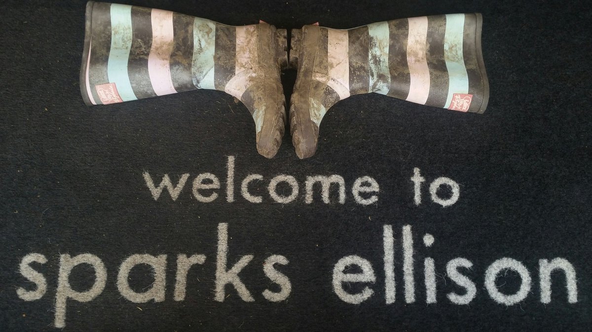 Sparks Ellison tweet media