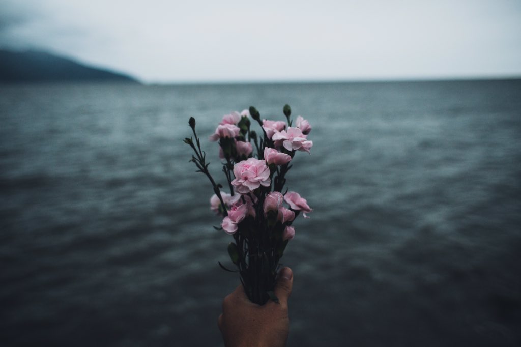 it_me_wongi's tweet image. flowers for you