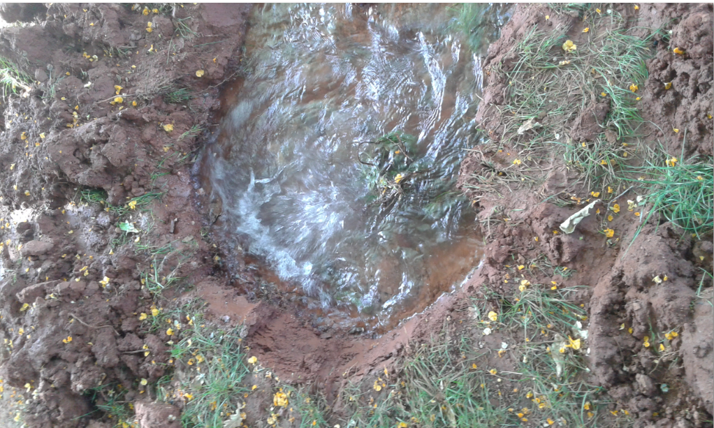 Marianna Hutton tweet media