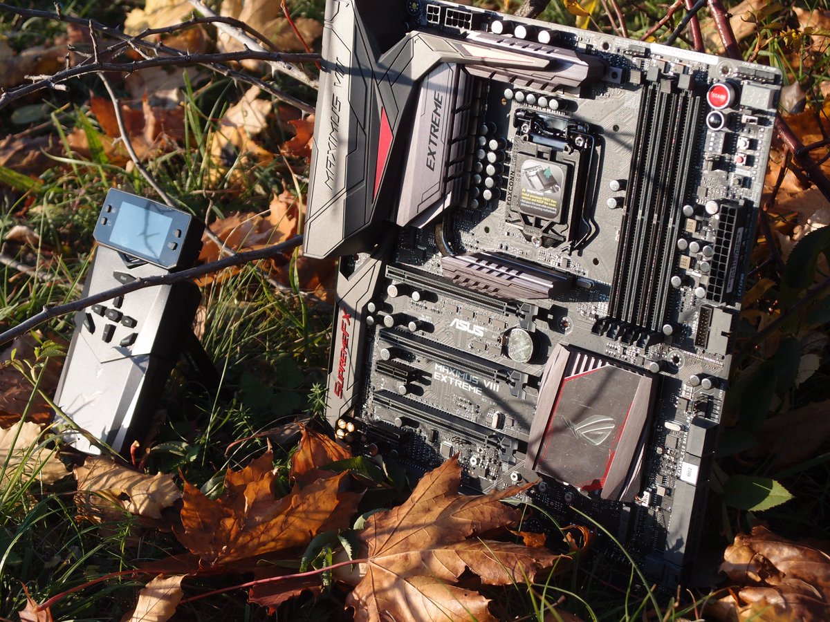 ASUS_ROG's tweet image. Parents wanted to make sure I'm being healthy &amp;amp; getting outdoors so I went out to enjoy the good ol' Autumn weather!